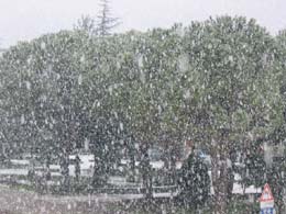 foto bufera di neve del 24 gennaio 2004 3